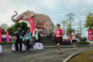 BIB: 
                            <button type="button" onclick="openModal(26529096)" class="btn btn-primary btn-sm float-right btn-popup" data-toggle="modal" data-target=".modal-high-quality">
                        <i class="fas fa-shopping-cart"></i> Add to Cart
                    </button>
                                            <button type="button" onclick="isThisMe(26529096, true)" class="btn btn-success btn-sm float-right btn-popup btn-isme hidden" data-toggle="tooltip" data-placement="bottom" title="นี่คือรูปของคุณใช่ไหม คลิกที่นี่เพื่อเอาเข้าอัลบั้ม">
                        <i class="fas fa-plus"></i> Add to album
                    </button>
                    <button type="button" onclick="isThisMe(26529096, false)" class="btn btn-warning btn-sm float-right btn-popup btn-isnotme hidden">
                        <i class="fas fa-ban"></i> Remove from album
                    </button>